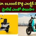 New Electric Scooter