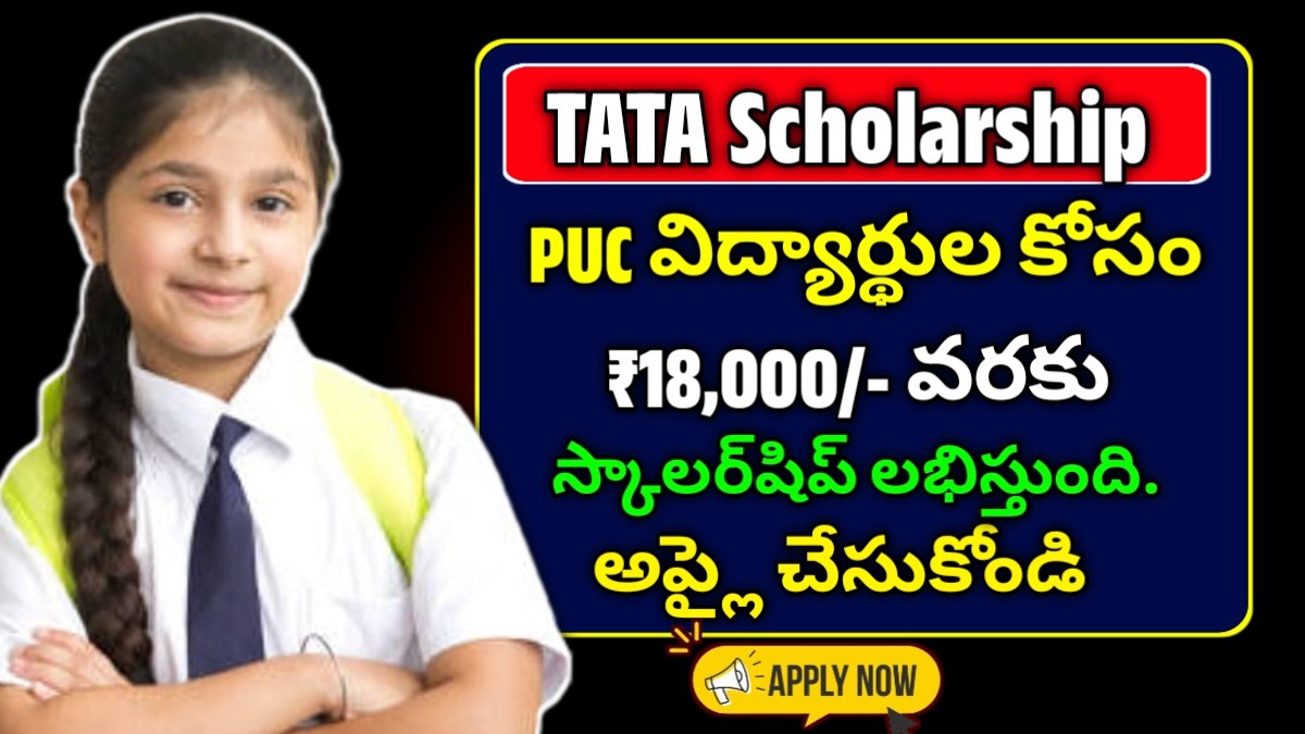 Tata Scholarship Application